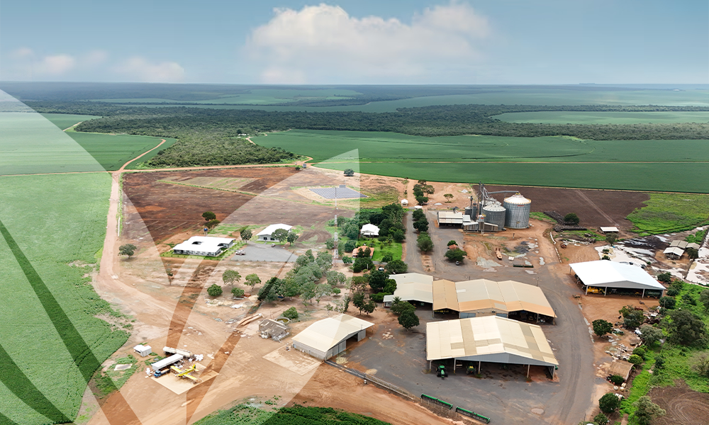 Fazenda Irmãos Coragem